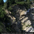 Cima Mandriolo-Malga Marcadei