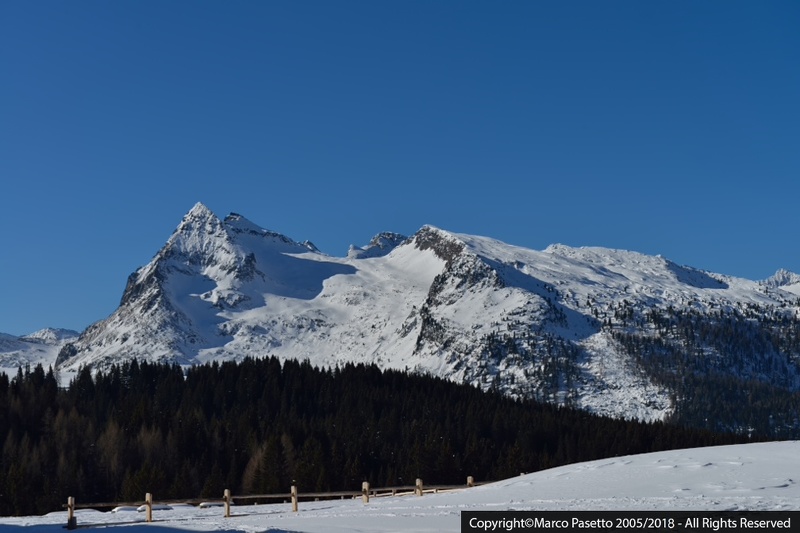 DSC_0344.jpg