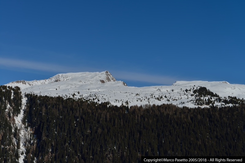 DSC_0346.jpg