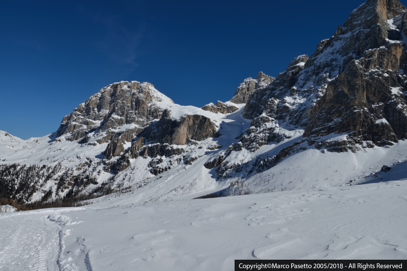 DSC_0382.jpg