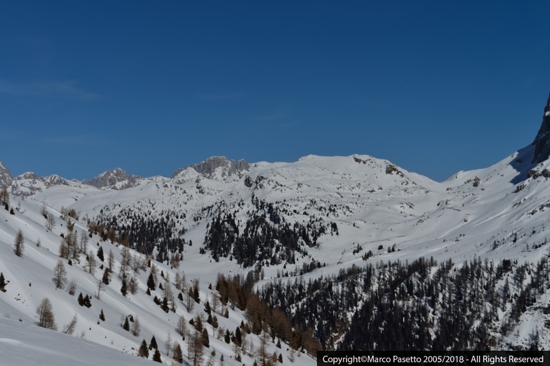 DSC_0393.jpg