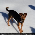 2014-03-29 Piz Levico