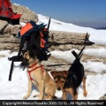 2014-03-29 Piz Levico