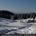Cima Mandriolo 2015 con Molly e Jack